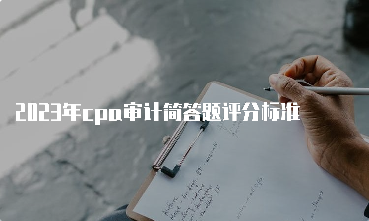 2023年cpa审计简答题评分标准