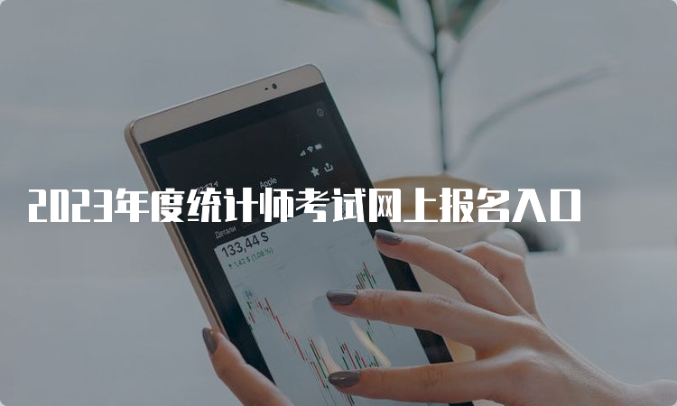 2023年度统计师考试网上报名入口