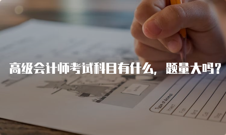 高级会计师考试科目有什么，题量大吗？