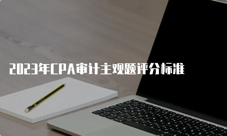 2023年CPA审计主观题评分标准