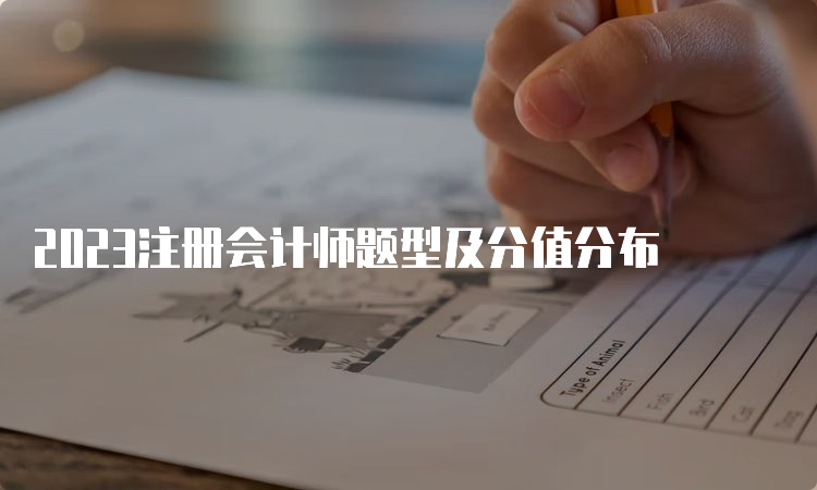 2023注册会计师题型及分值分布