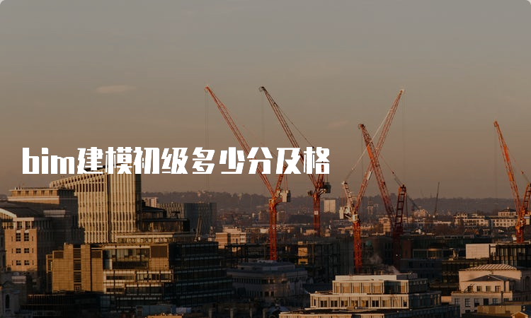 bim建模初级多少分及格