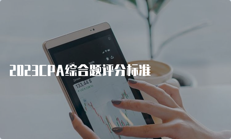 2023CPA综合题评分标准