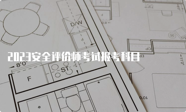 2023安全评价师考试报考科目