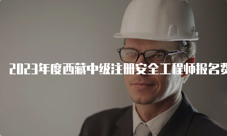 2023年度西藏中级注册安全工程师报名费用及缴费时间