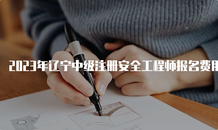 2023年辽宁中级注册安全工程师报名费用及缴费时间