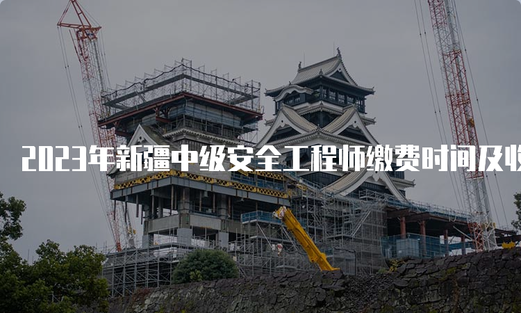 2023年新疆中级安全工程师缴费时间及收费标准