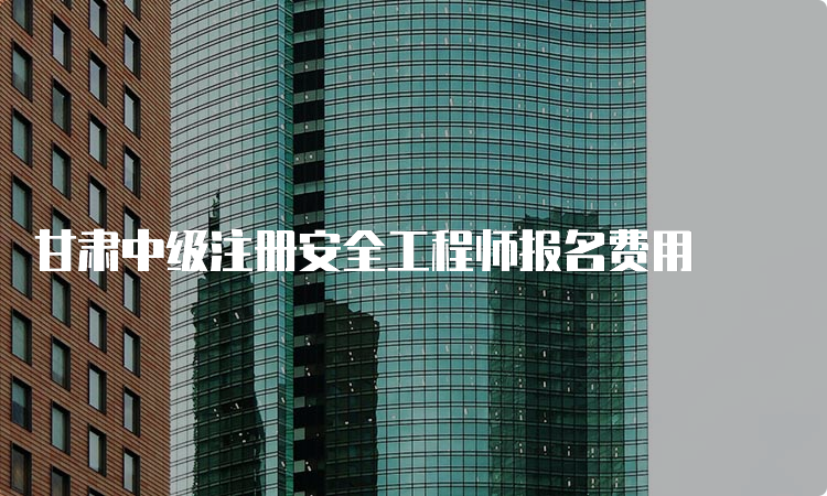 甘肃中级注册安全工程师报名费用