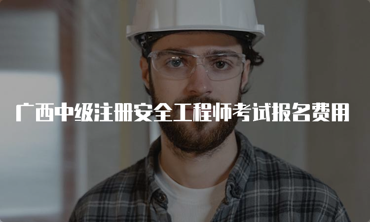 广西中级注册安全工程师考试报名费用