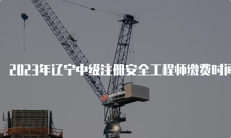 2023年辽宁中级注册安全工程师缴费时间