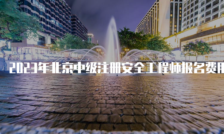 2023年北京中级注册安全工程师报名费用