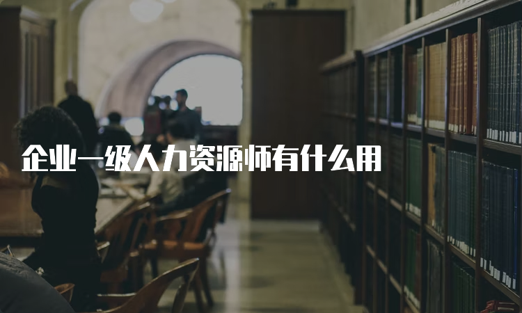 企业一级人力资源师有什么用