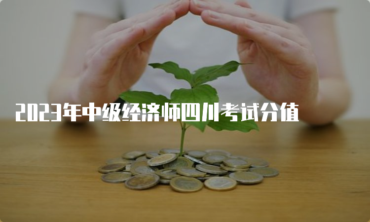 2023年中级经济师四川考试分值