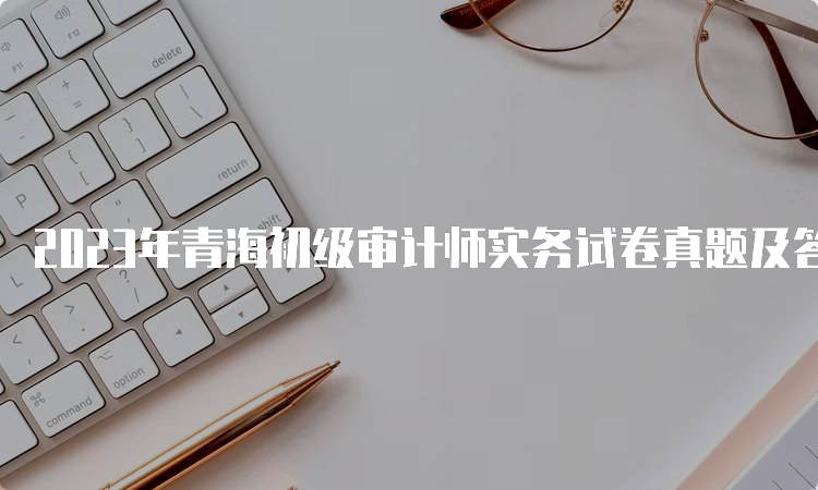 2023年青海初级审计师实务试卷真题及答案9.24下午场