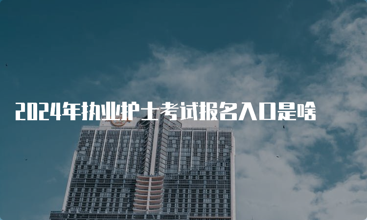 2024年执业护士考试报名入口是啥