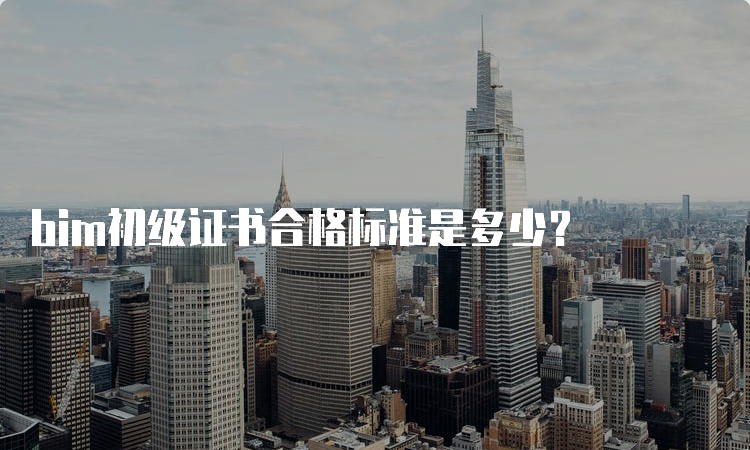 bim初级证书合格标准是多少？