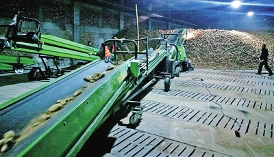 11月3日，在银川德胜工业园区清真食品园内，宁夏誉景食品有限公司年加工85000吨马铃薯系列产品项目开始试投产。