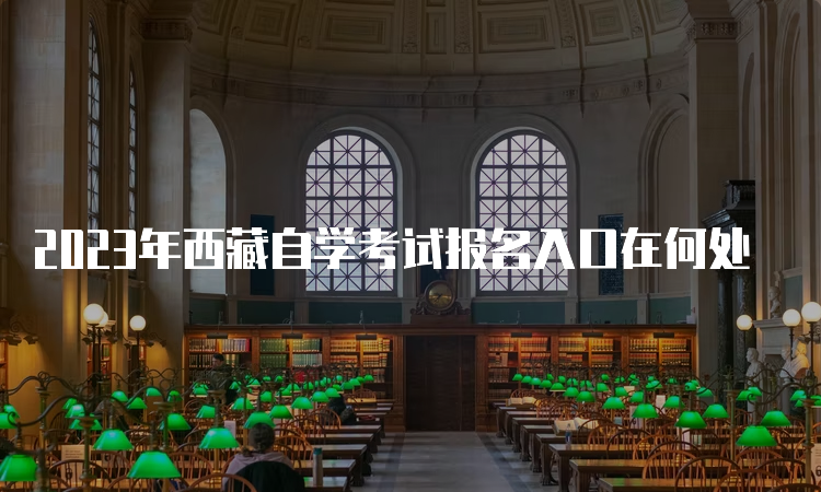 2023年西藏自学考试报名入口在何处