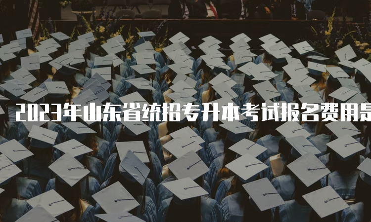 2023年山东省统招专升本考试报名费用是多少钱？120元/生