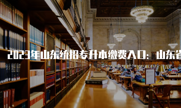 2023年山东统招专升本缴费入口：山东省教育考试院