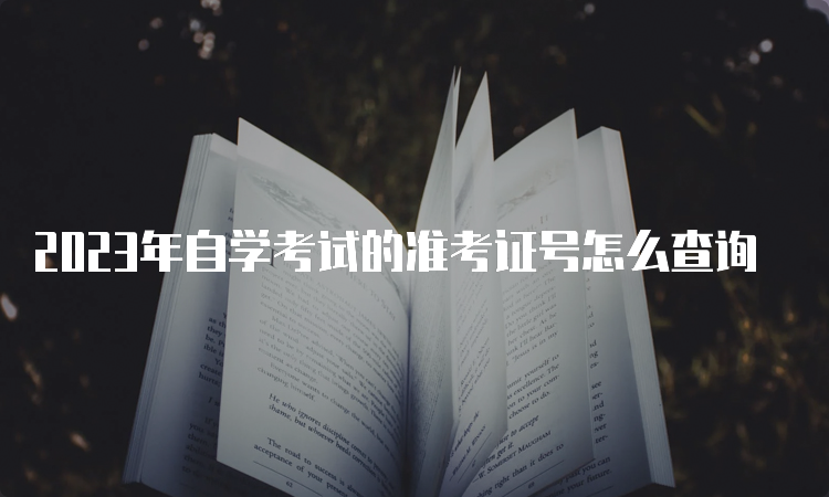 2023年自学考试的准考证号怎么查询