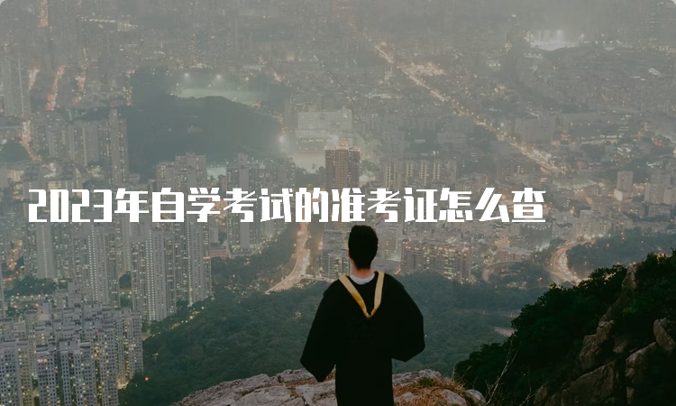 2023年自学考试的准考证怎么查