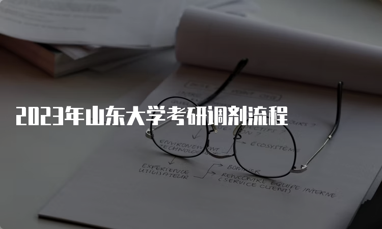 2023年山东大学考研调剂流程