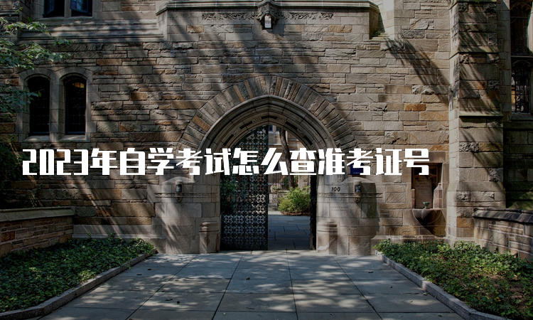 2023年自学考试怎么查准考证号