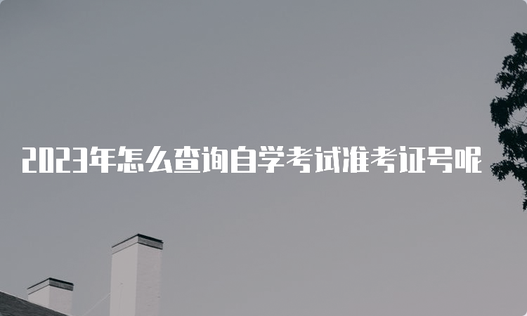 2023年怎么查询自学考试准考证号呢