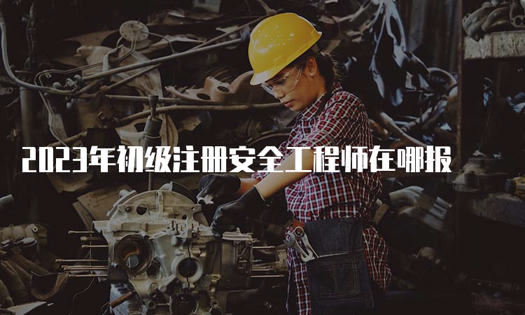 2023年初级注册安全工程师在哪报