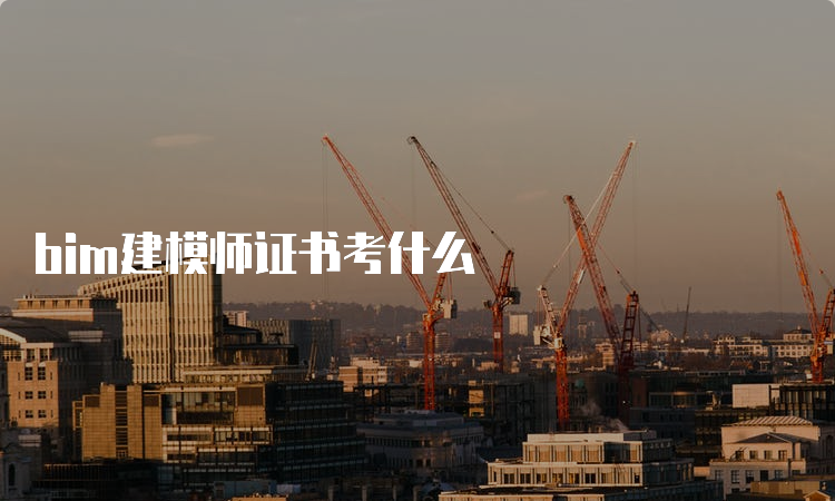 bim建模师证书考什么