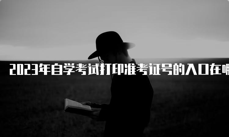 2023年自学考试打印准考证号的入口在哪里