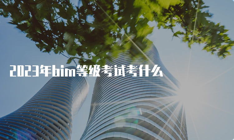 2023年bim等级考试考什么