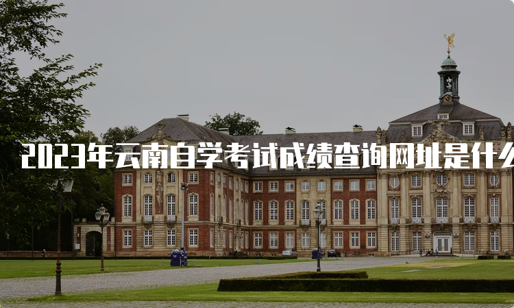 2023年云南自学考试成绩查询网址是什么