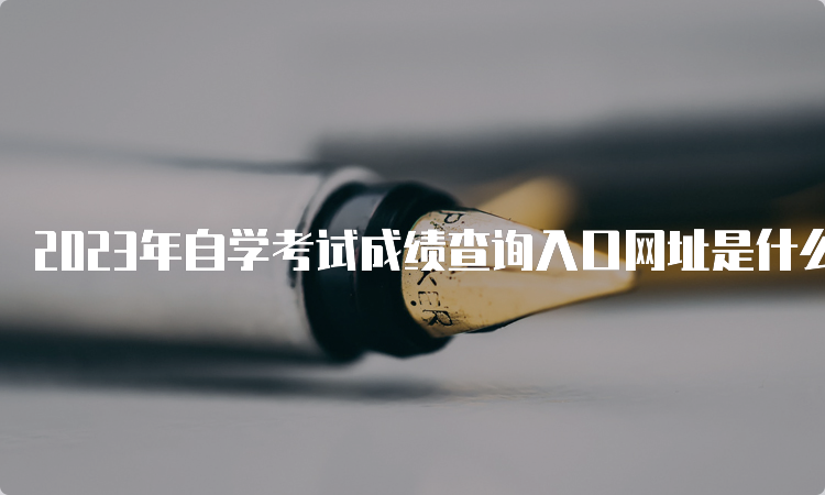 2023年自学考试成绩查询入口网址是什么？各省教育考试院