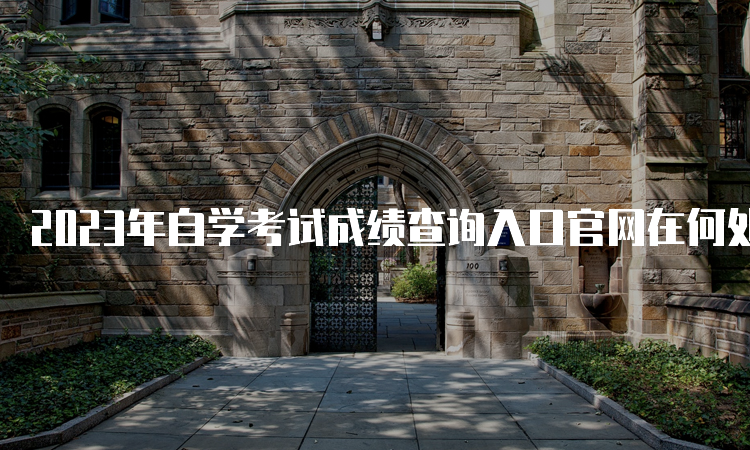 2023年自学考试成绩查询入口官网在何处