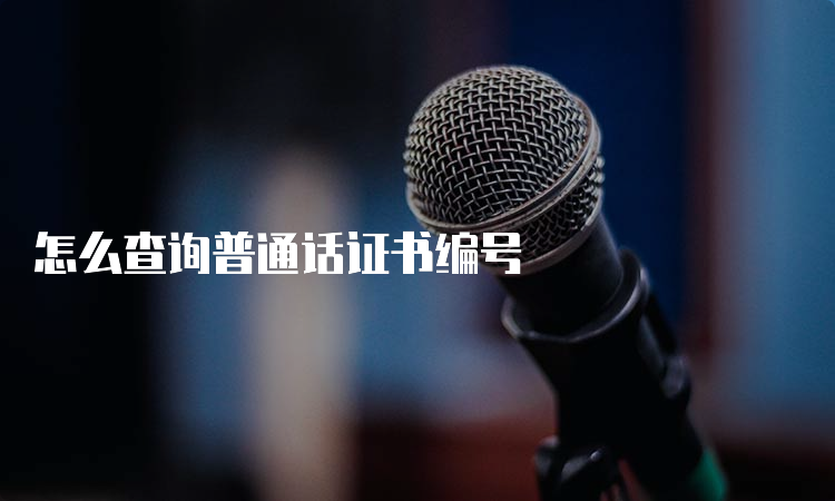 怎么查询普通话证书编号