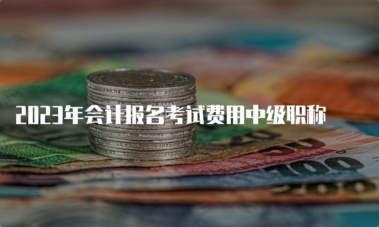 2023年会计报名考试费用中级职称