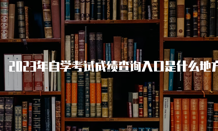 2023年自学考试成绩查询入口是什么地方