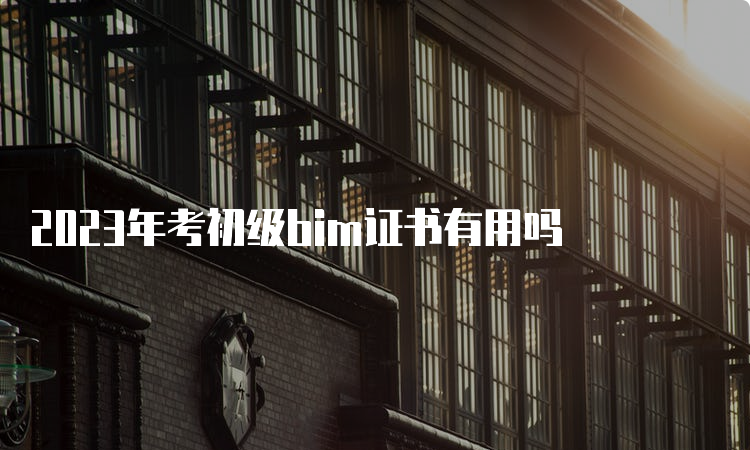 2023年考初级bim证书有用吗