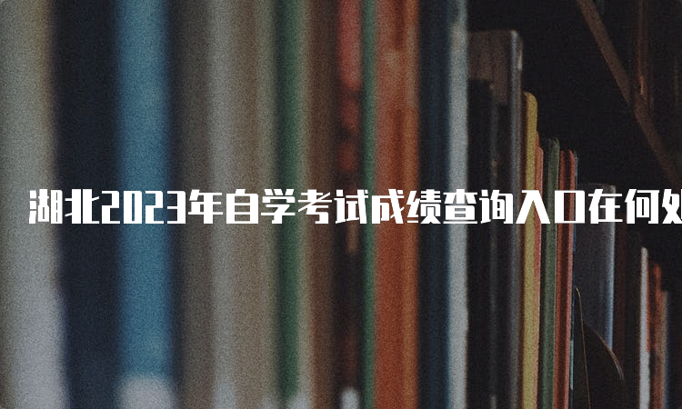 湖北2023年自学考试成绩查询入口在何处