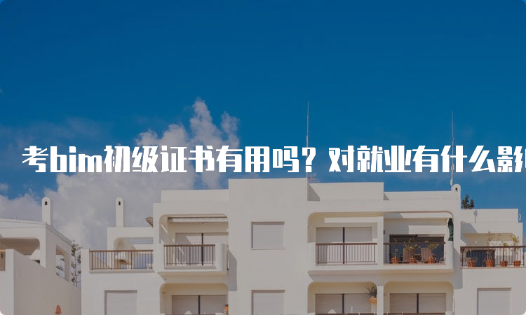 考bim初级证书有用吗？对就业有什么影响？