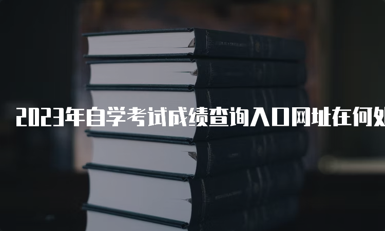 2023年自学考试成绩查询入口网址在何处