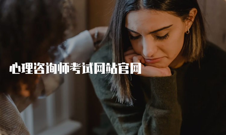 心理咨询师考试网站官网