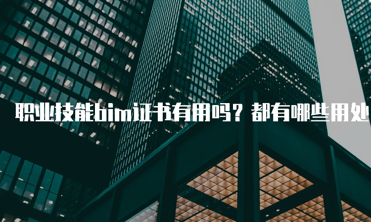 职业技能bim证书有用吗？都有哪些用处？