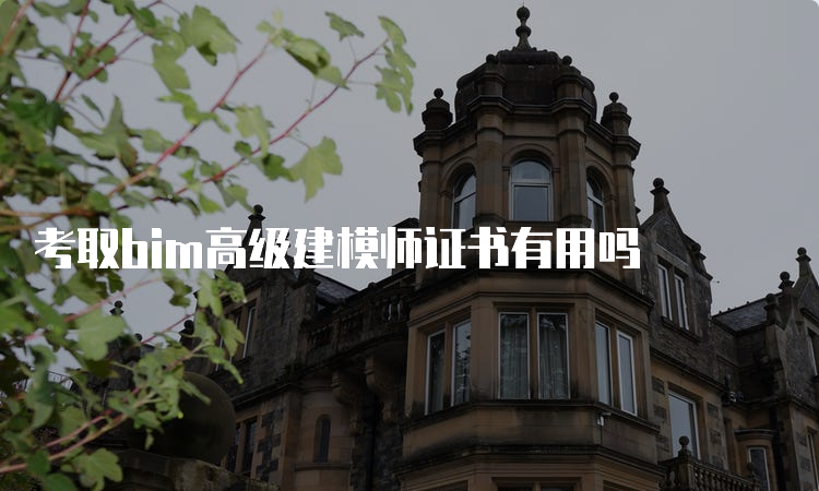 考取bim高级建模师证书有用吗