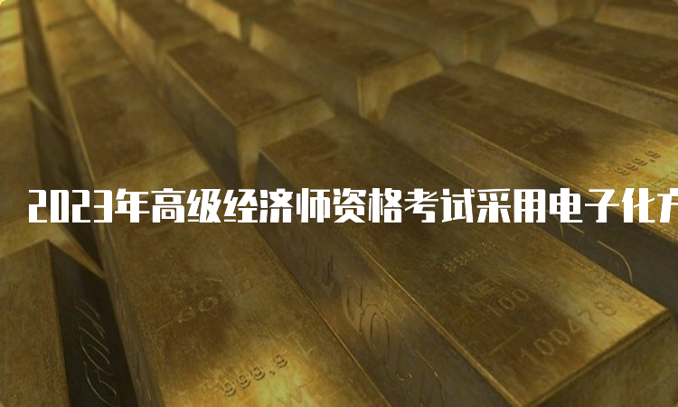 2023年高级经济师资格考试采用电子化方式