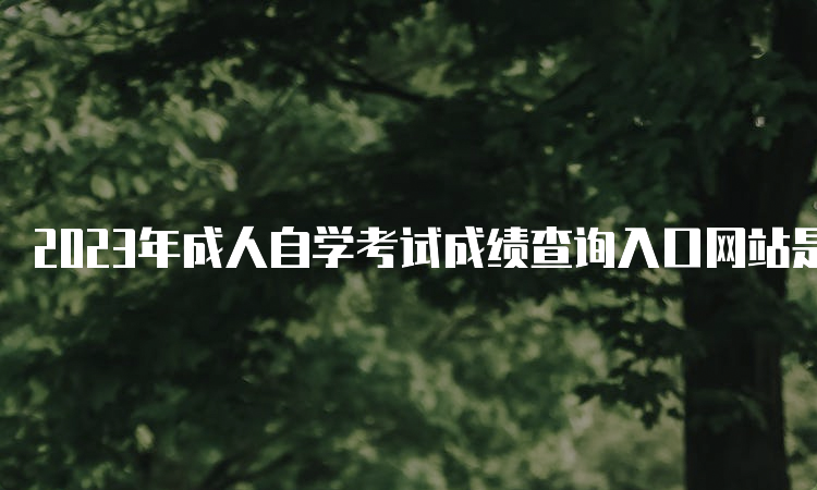 2023年成人自学考试成绩查询入口网站是什么呢