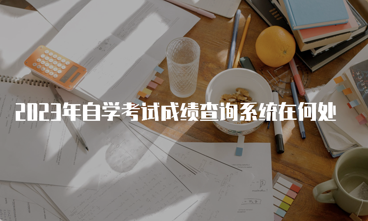 2023年自学考试成绩查询系统在何处