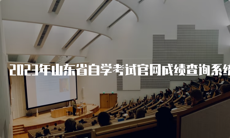 2023年山东省自学考试官网成绩查询系统的网址